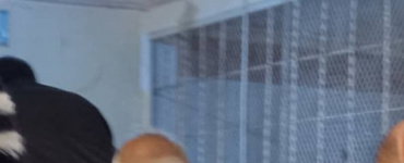 الشعبة الجزائية الاستئنافية المتخصصة بالعاصمة عدن تصادق على حكم الاعدام بحق الخلية الحوثية في الصبيحة