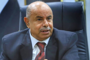 الخنبشي يلوح بقوات طوارئ يمنية لقمع فعالية جنوبية في حضرموت