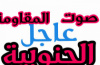 عاجل| اشتباكات على حدود المضاربة بين القوات الجنوبية والحوثيين