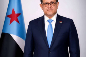 الحالمي يحذر من توظيف الخطر الحوثي لتصفية الحسابات السياسية