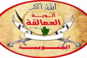 عاجل| قوات العمالقة الجنوبية تعلن اطلاق عملية عسكرية ضد الحوثيين في باب المندب