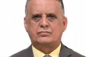 محلل عكسري: تكرار النهج والآليات السابقة لن تحقق النصر على الحوثيين