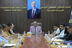 الهيئة السياسية تستعرض مستجدات المشهد الجنوبي والإقليمي وتؤكد أهمية الاصطفاف الوطني